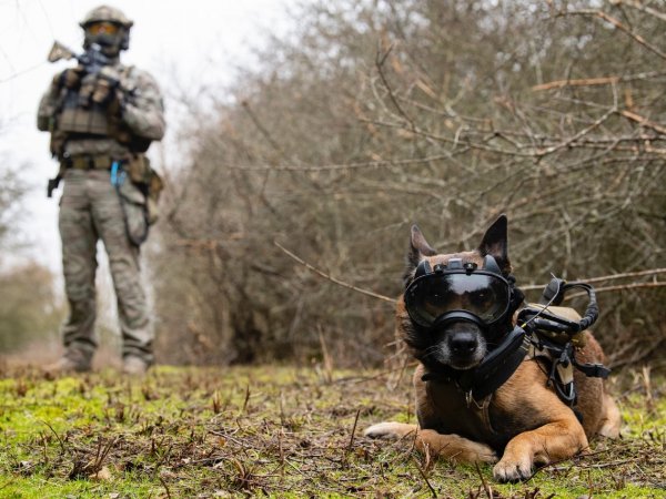 Maitre chien parachutiste